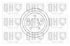 QH_BDR385.JPG