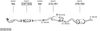 SYS21018.JPG