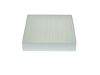 Bosch Cabin Air Filter 1 987 435 142 (1987435142)