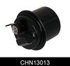 CHN13013_634066.JPG
