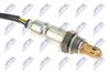 esl-vw-005_2-wm.JPG