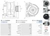 A01269(SEG)_256960.JPG