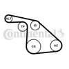 Поліклиновий ремінний комплект Contitech 6PK1038K1 (6PK1038)