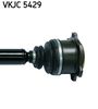 VKJC 5429_3.JPG