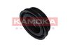 RW026_D.JPG