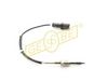 Sensor, Abgastemperatur