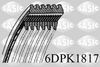 6DPK1817.JPG