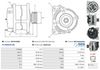 A01241(SEG)_256960.JPG