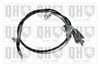 QH_BC3957.JPG