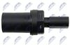 ECP-AU-033_3-WM.JPG