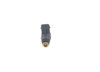 Bosch Fuel Injector 0280156070