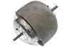 OPT_F8-5579_WM_01.JPG
