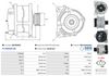 A0278(SEG)_256960.JPG