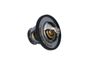 Termostat, chladivo 725174