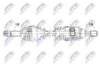 npw-ns-208_9-wm.PNG