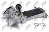 egr-vw-024_1-wm.JPG