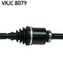 VKJC 8079_3.JPG