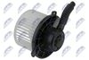 EWN-MS-004_2-WM.JPG