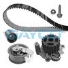Водяний насос + комплект ременя DAYCO KTBWP3420