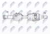 NPW-NS-106_9-WM.PNG