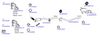 OP-EXSVG901_20260529081617.JPG