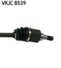 VKJC 8539_3.JPG