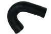 81986.JPG