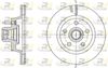 61704-10-MODEL.BMP