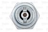 VALEO_SPARK_PLUG_246907_03.JPG