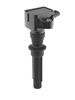 BERU (Borg Warner) Ignition Coil ZS624