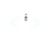 Bosch Bulb 1 987 302 233 12V10WPURELIGHT (1987302233)