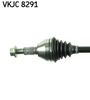 VKJC 8291_2.JPG