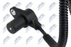 ECP-FT-004_2-WM.JPG