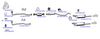 OP-EXSOP341_20260529081635.JPG