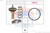 7.8774-FA.JPG