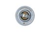 Termostat, chladivo 725214