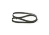 Bosch V-Ribbed Belt 1 987 946 051 (1987946051)
