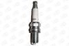 OE103-T10_53021.JPG