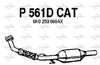 P561DCAT.JPG
