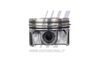 FT47138$0_3_1.JPG