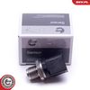 Sensor, Kraftstoffdruck