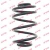 Kayaba Suspension Spring RX5110