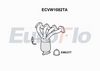ecvw1082ta.JPG