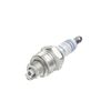 BOSCH Z&uuml;ndkerzen - 0242215500 -