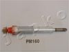 PM160_1.JPG