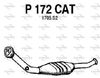 P172CAT.JPG