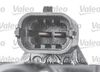 245207_CONNECTOR_001.JPG