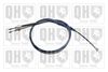 QH_BC4042.JPG