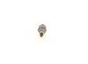 BOSCH Spark Plug 0 242 240 506
