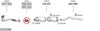 SYS12488.JPG